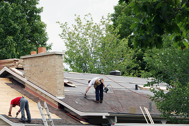 Best Local Roofing Companies  in Longmont, CO